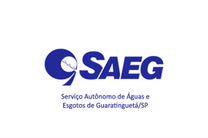 Saeg